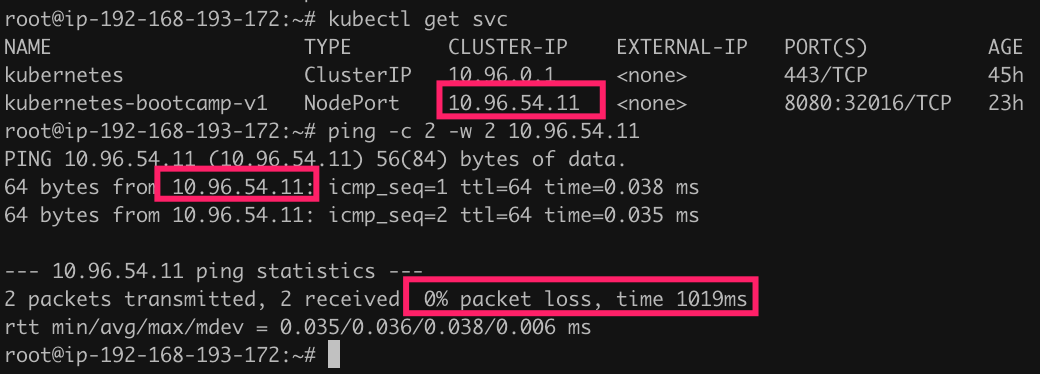 ping cluster ip